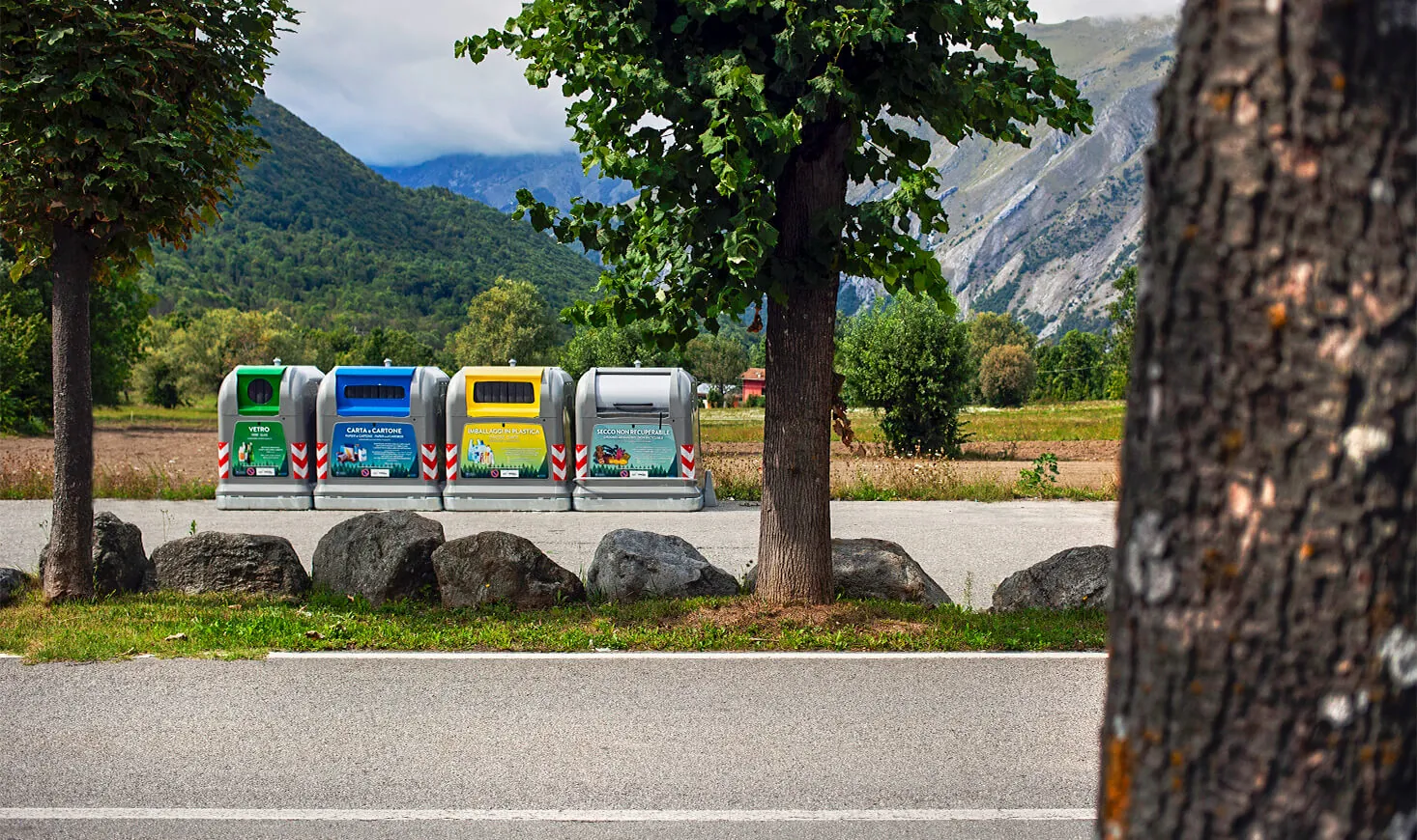 New City Standard containers along a tree-lined road