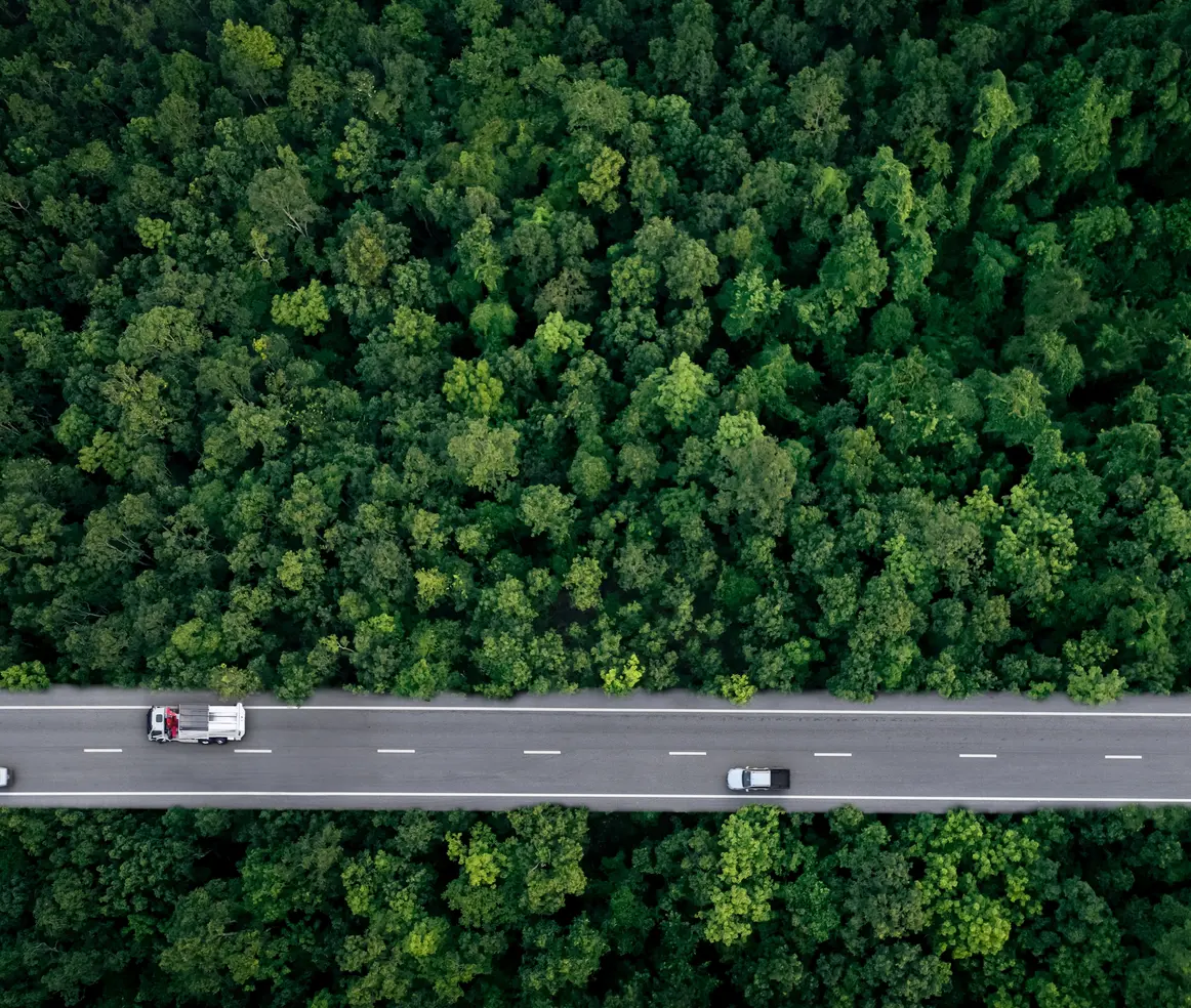 Aerial view of a road crossing a dense green forest